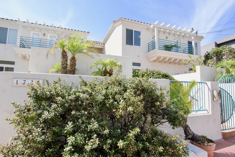 Ocean Front Condos Condos, Lofts & Townhomes For Sale Ocean Front