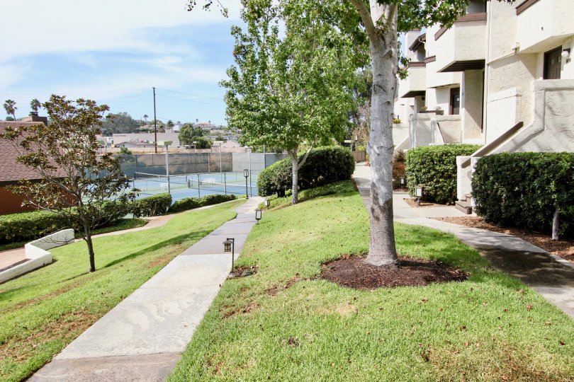 Sea Colony Condos, Lofts & Townhomes For Sale Sea Colony Real Estate