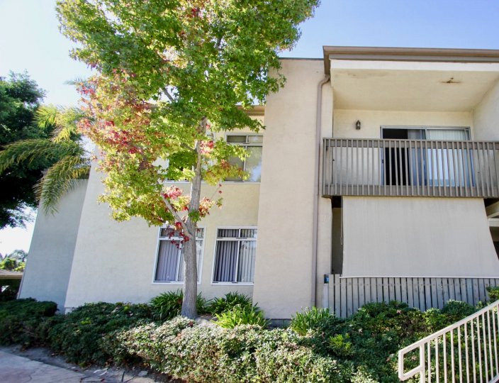 Arbor Hill Condos, Lofts & Townhomes For Sale Arbor Hill Real Estate