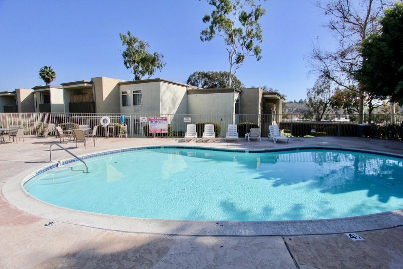 Arbor Hill Condos, Lofts & Townhomes For Sale Arbor Hill Real Estate