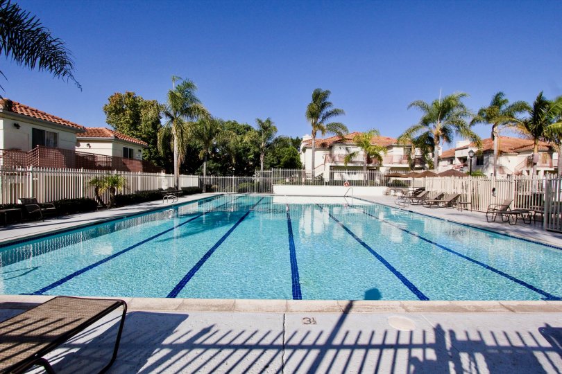 Avalon at Eagles Crossing Condos, Lofts & Townhomes For Sale Avalon