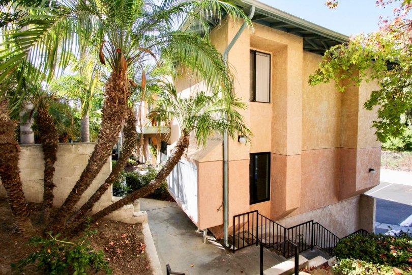Canyon Grove Condos, Lofts & Townhomes For Sale Canyon Grove Real