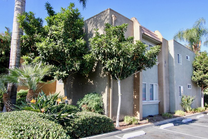 La Estancia Condos, Lofts & Townhomes For Sale La Estancia Real