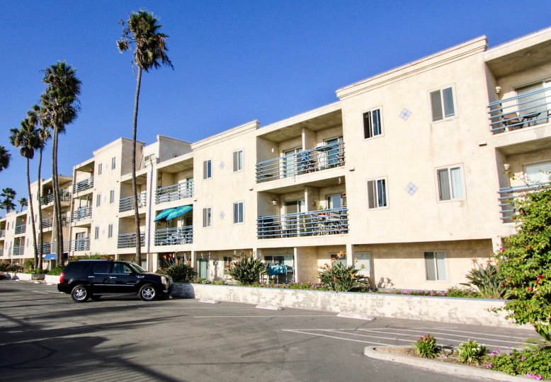Marina Del Mar Condos, Lofts & Townhomes For Sale Marina Del Mar Real