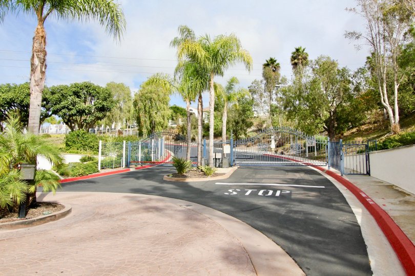 Mission Del Oro Condos, Lofts &amp; Townhomes For Sale