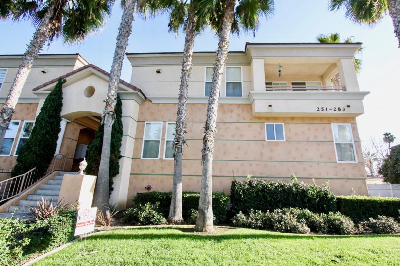 Neptune Point Condos, Lofts & Townhomes For Sale Neptune Point Real