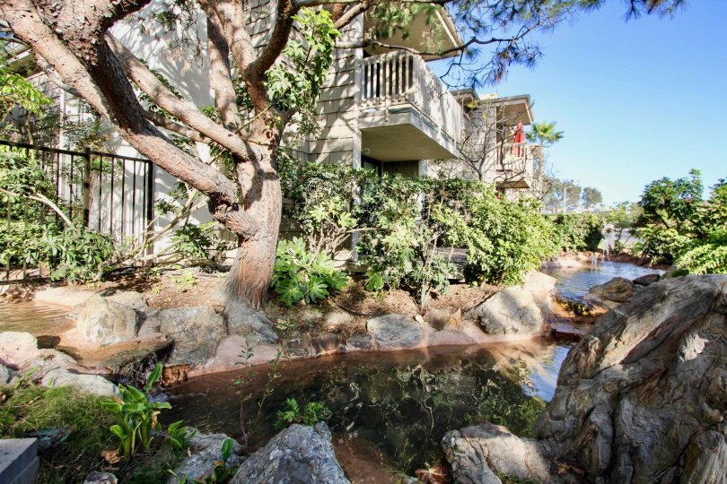 North Coast Village Condos, Lofts & Townhomes For Sale North Coast