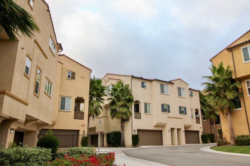 north river village