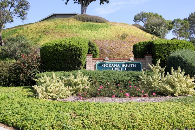 Oceana South Condos, Lofts & Townhomes For Sale Oceana South Real