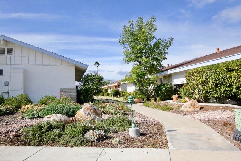 Oceana Condos, Lofts & Townhomes For Sale Oceana Real Estate Oceana