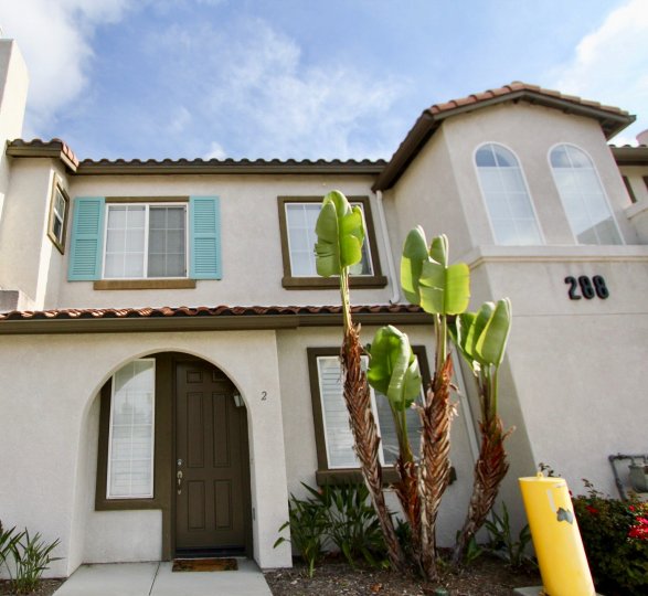 Pelican Cove Condos, Lofts & Townhomes For Sale Pelican Cove Real