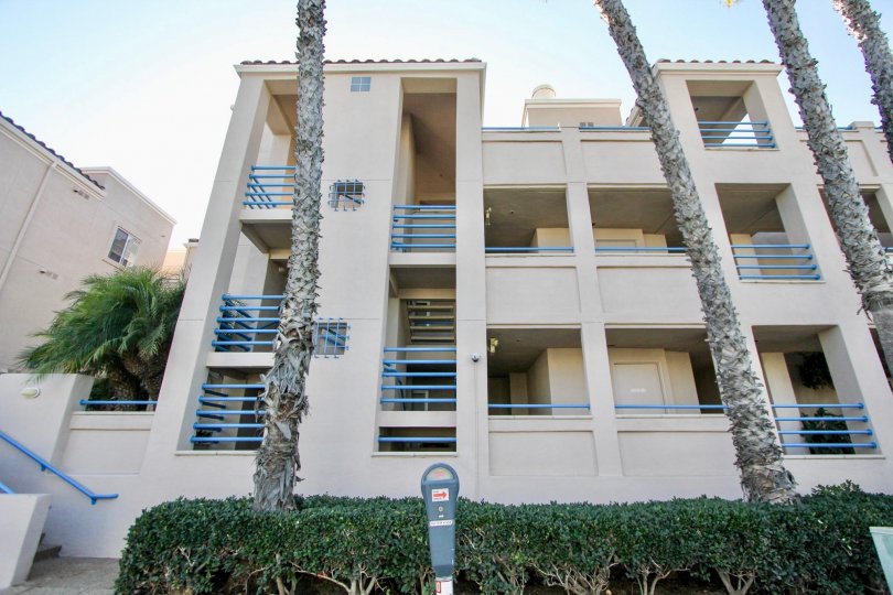 San Miguel IV Condos, Lofts & Townhomes For Sale San Miguel IV Real Estate San Miguel IV