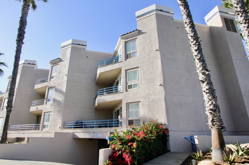 San Miguel IV Condos, Lofts & Townhomes For Sale San Miguel IV Real Estate San Miguel IV