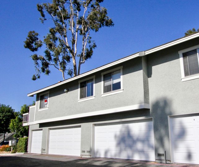 Whelan Ranch Condos, Lofts & Townhomes For Sale Whelan Ranch Real