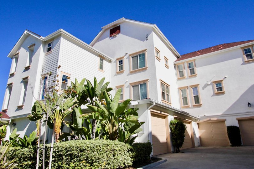 Windward Condos, Lofts & Townhomes For Sale Windward Real Estate