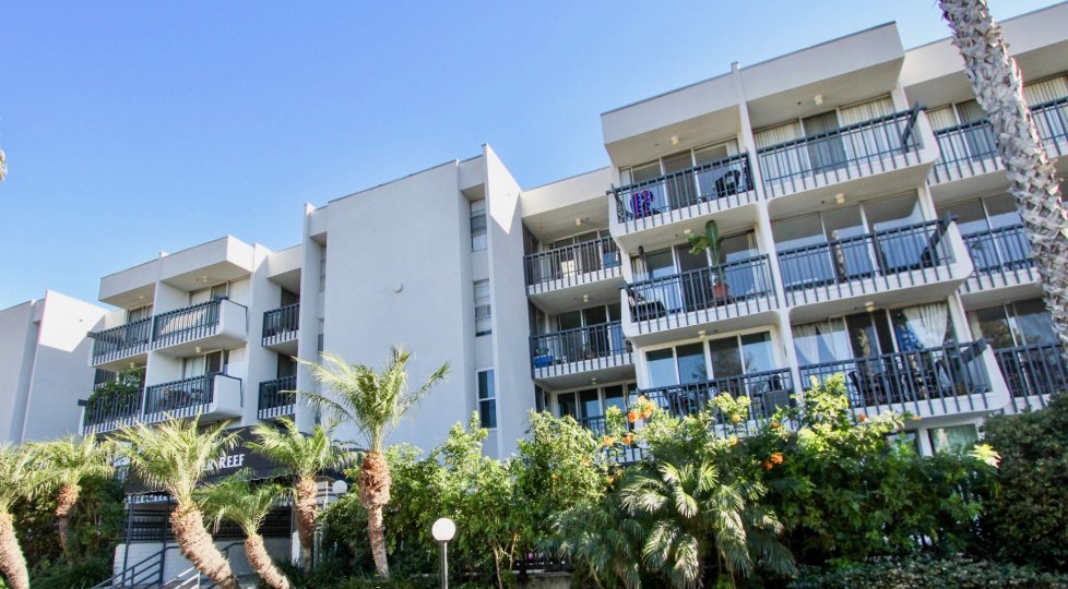 Barrier Reef Condos, Lofts & Townhomes For Sale Barrier Reef Real