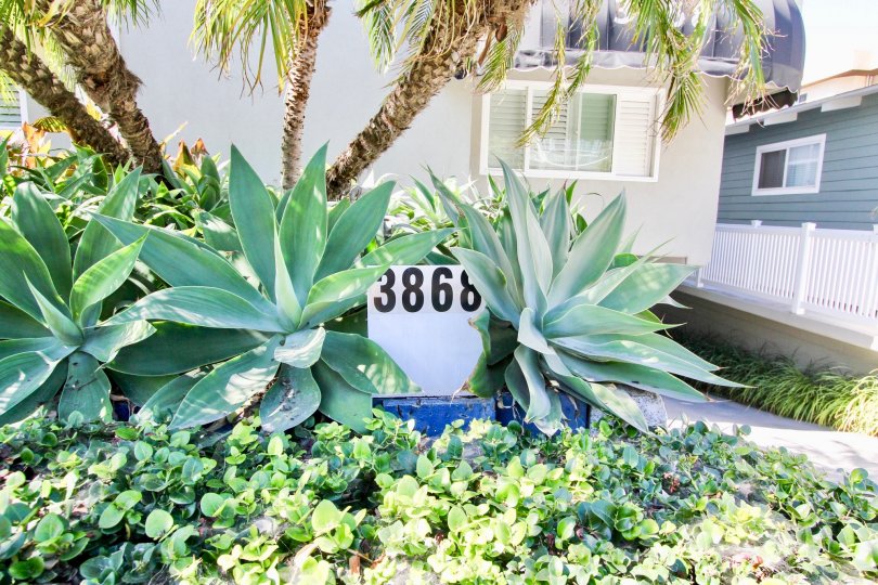 Carmel Cove Condos, Lofts & Townhomes For Sale Carmel Cove Real