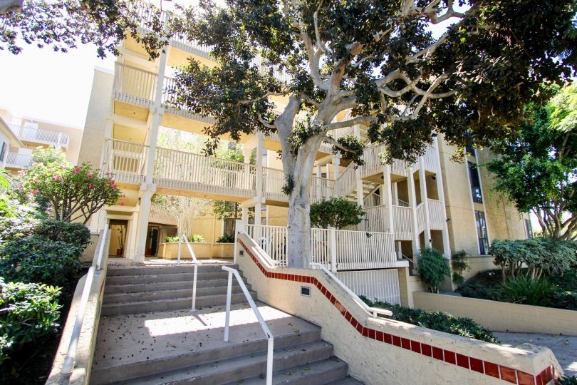 Gresham La Palma Condos, Lofts & Townhomes For Sale Gresham La Palma