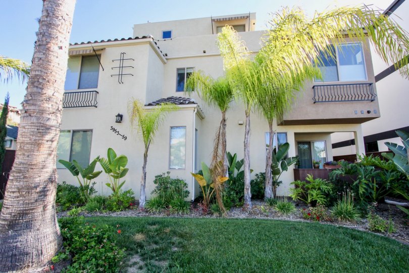 Lamont Street Townhomes Condos, Lofts & Townhomes For Sale Lamont