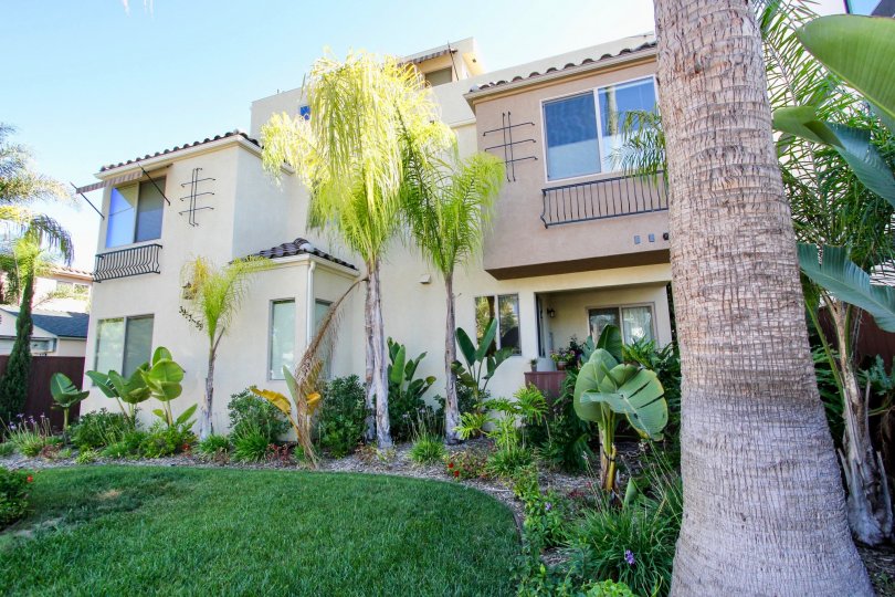 Lamont Street Townhomes Condos, Lofts & Townhomes For Sale Lamont