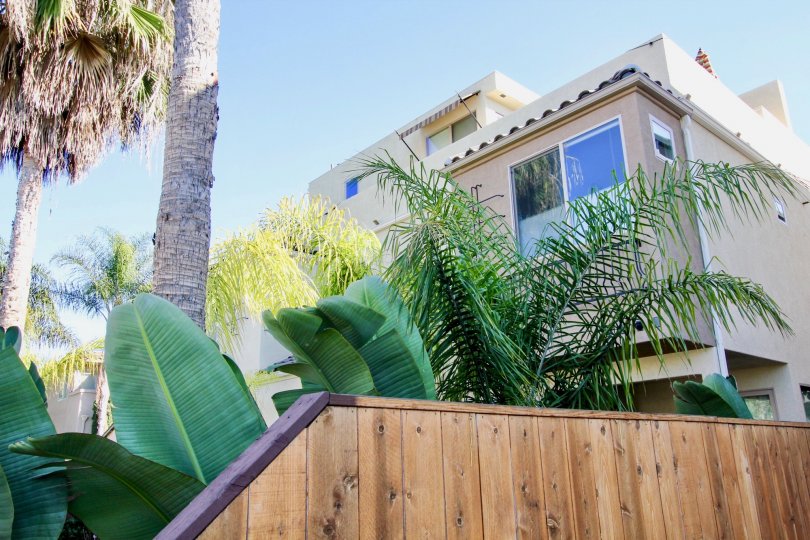 Lamont Street Townhomes Condos, Lofts & Townhomes For Sale Lamont