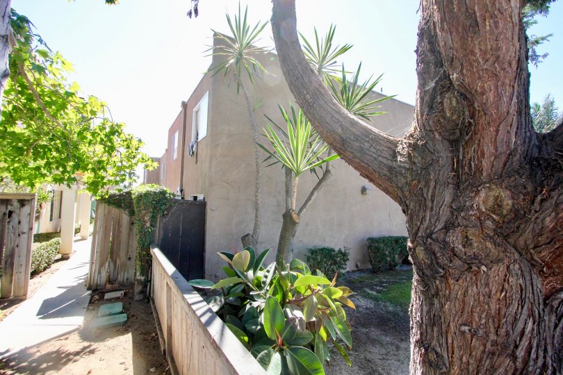 Pacific Beach Villas Condos, Lofts & Townhomes For Sale Pacific Beach