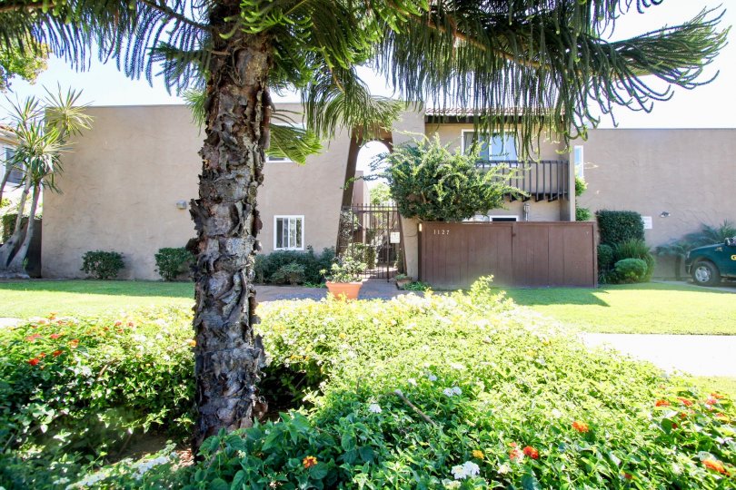 Pacific Beach Villas Condos, Lofts & Townhomes For Sale Pacific Beach