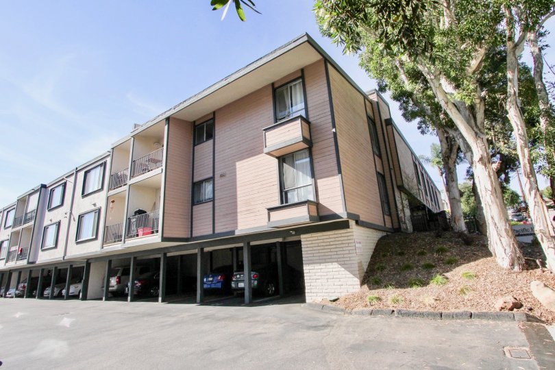 Pacific Heights Condos, Lofts & Townhomes For Sale Pacific Heights