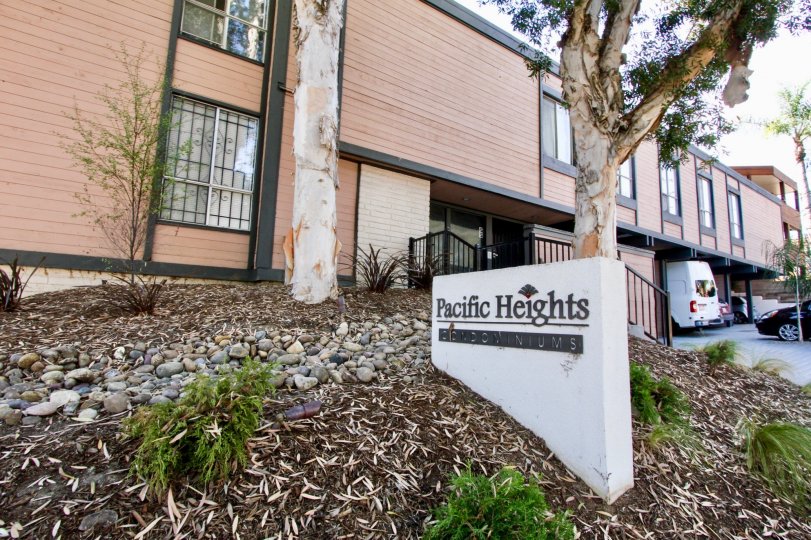 Pacific Heights Condos, Lofts & Townhomes For Sale Pacific Heights