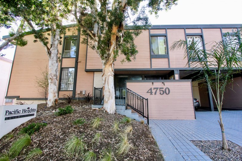 Pacific Heights Condos, Lofts & Townhomes For Sale Pacific Heights