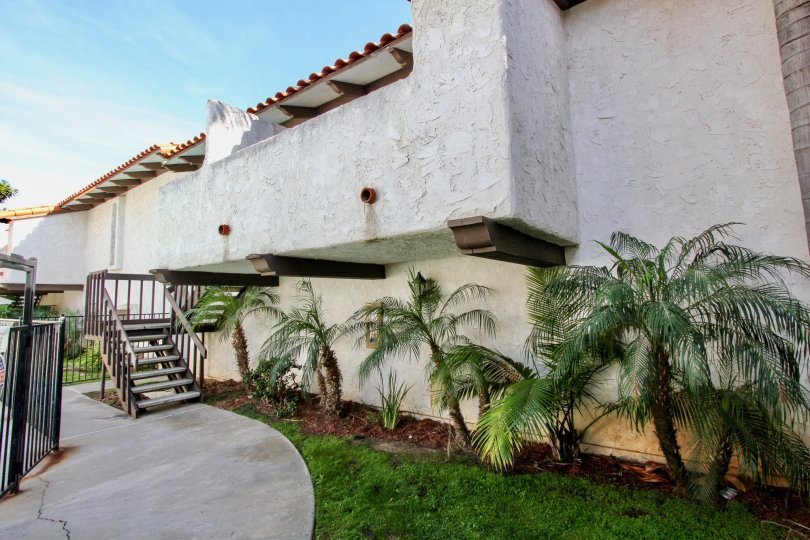 Pacific Pines Condos, Lofts & Townhomes For Sale Pacific Pines Real