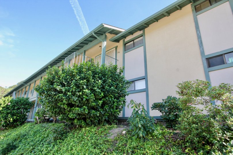 Pacific Woodlands Condos, Lofts & Townhomes For Sale Pacific