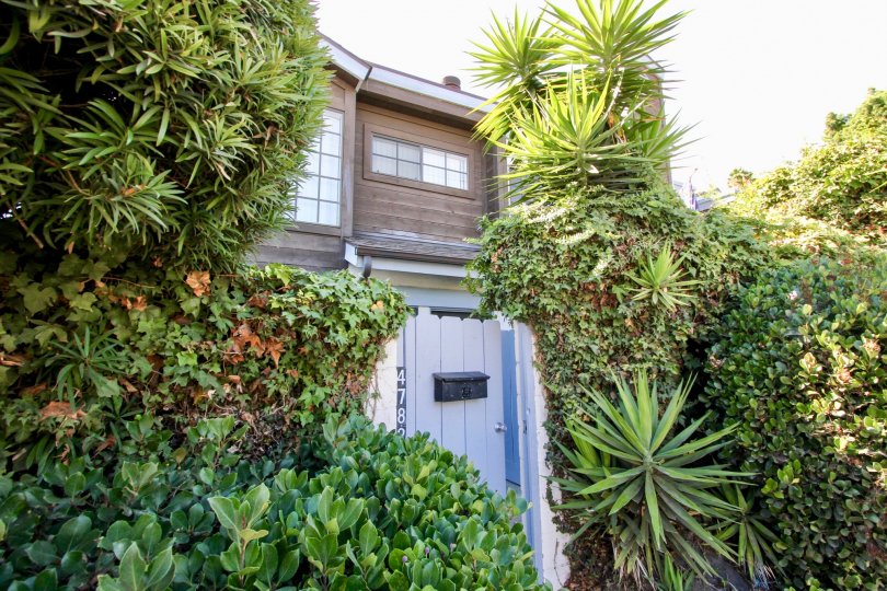 Pacifica Townhomes Condos, Lofts & Townhomes For Sale Pacifica