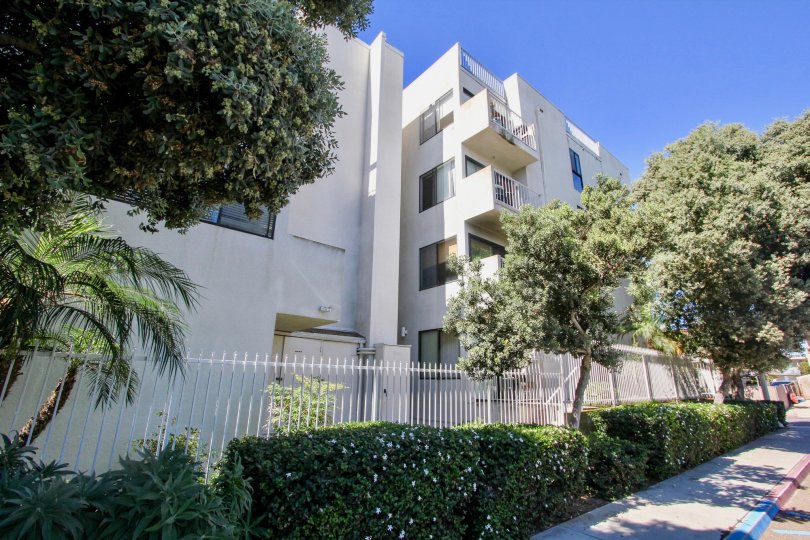 San Remo Condos, Lofts & Townhomes For Sale San Remo Real Estate