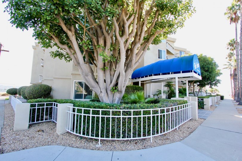 The Shores at Crown Point Condos, Lofts & Townhomes For Sale The