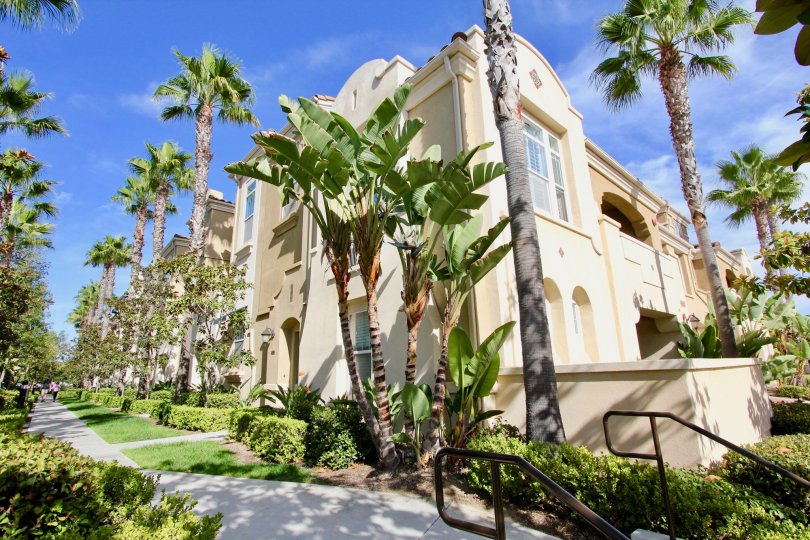 Anchor Cove Condos, Lofts & Townhomes For Sale Anchor Cove Real