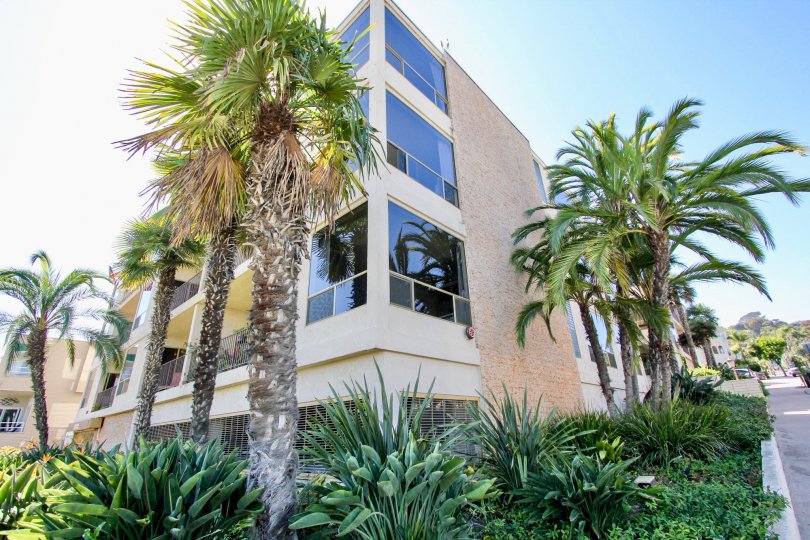 Park La Playa Condos, Lofts & Townhomes For Sale Park La Playa Real