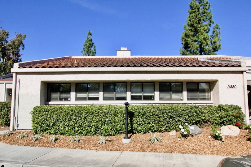 Bernardo Pines Condos, Lofts & Townhomes For Sale Bernardo Pines Real