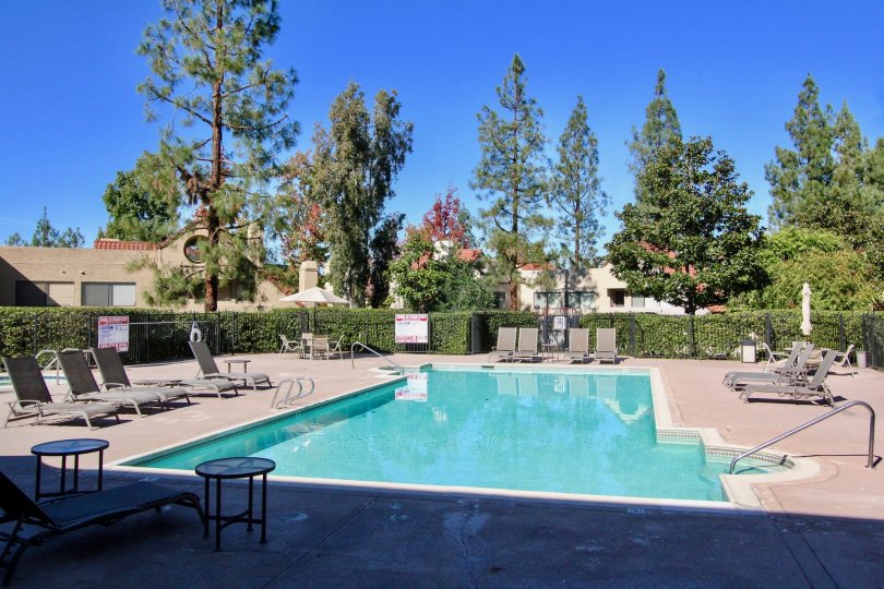 Bernardo Pines Condos, Lofts & Townhomes For Sale Bernardo Pines Real