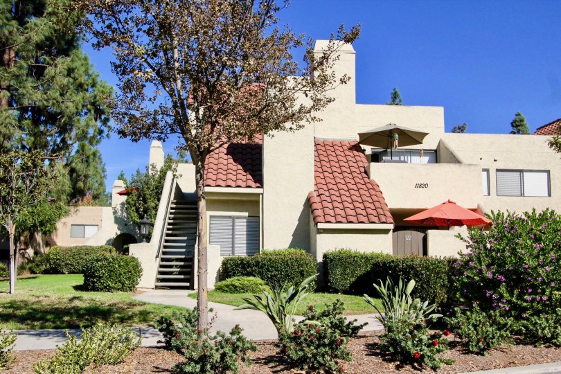 Bernardo Pines Condos, Lofts & Townhomes For Sale Bernardo Pines Real