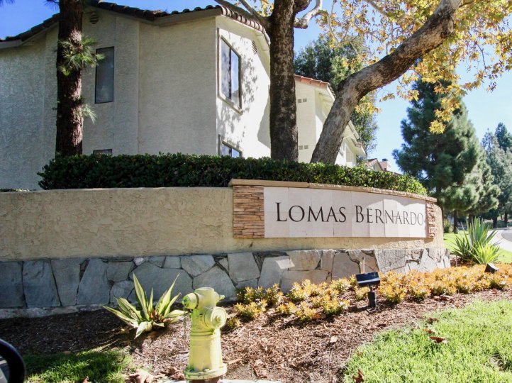 Lomas Bernardo Condos, Lofts & Townhomes For Sale Lomas Bernardo Real