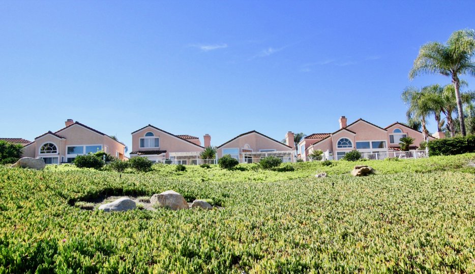 Masters Hill Condos, Lofts & Townhomes For Sale Masters Hill Real