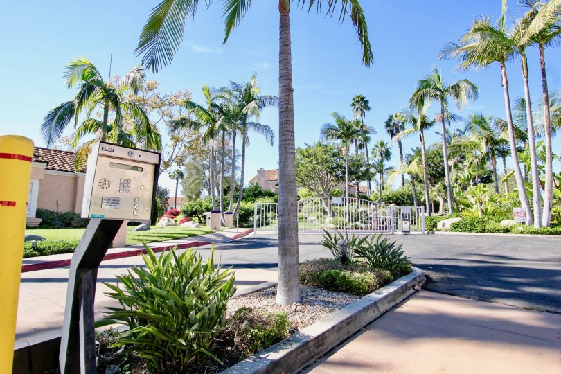 Masters Hill Condos, Lofts & Townhomes For Sale Masters Hill Real