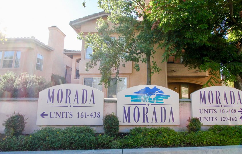 Morada Condos, Lofts & Townhomes For Sale Morada Real Estate Morada
