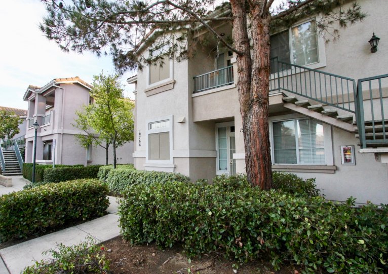 Palo Alto Condos, Lofts & Townhomes For Sale Palo Alto Real Estate