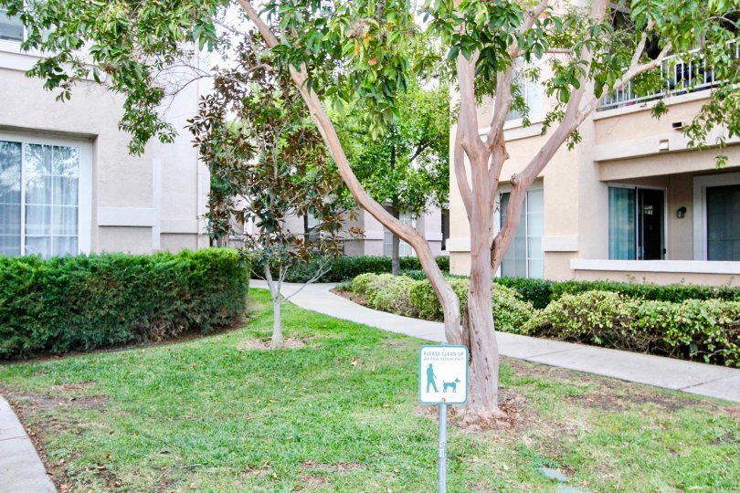 Palo Alto Condos, Lofts & Townhomes For Sale Palo Alto Real Estate