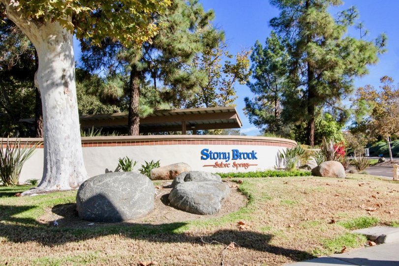 Stony Brook Condos, Lofts & Townhomes For Sale Stony Brook Real