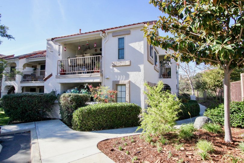 Stony Brook Condos, Lofts & Townhomes For Sale Stony Brook Real