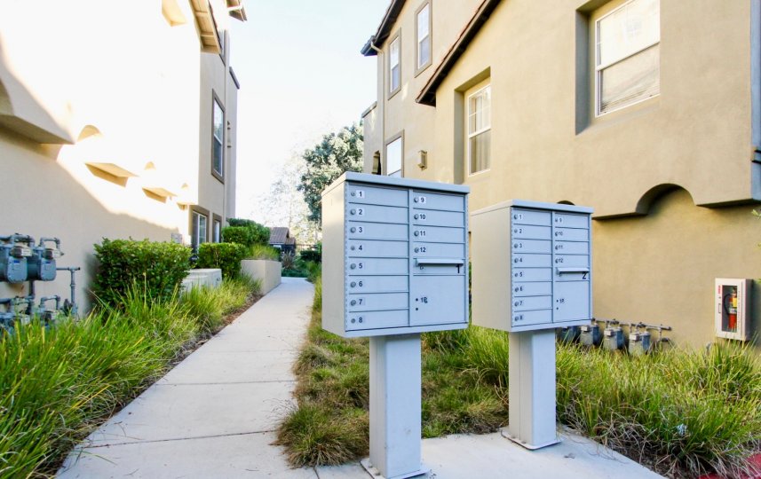 Sycamore Walk Condos, Lofts & Townhomes For Sale Sycamore Walk Real