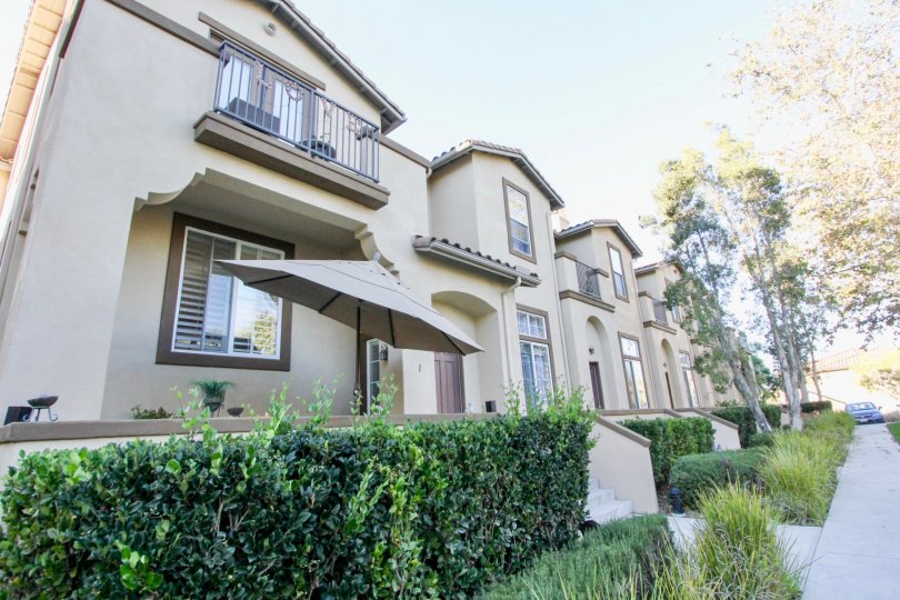 Sycamore Walk Condos, Lofts & Townhomes For Sale Sycamore Walk Real